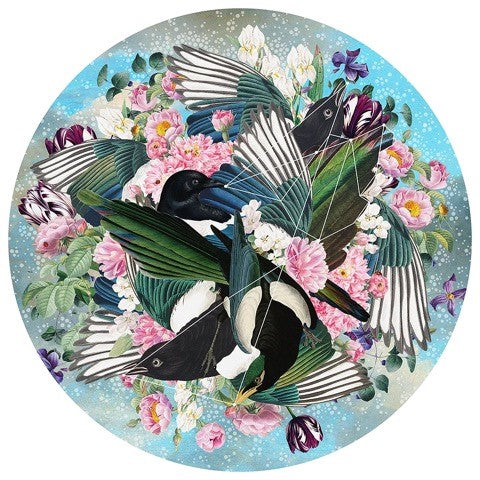 Alexandra Gallagher, Artist, Between The Land and Sea Light Is Born, Blue, Sparrow, Bird, Turner Art Perspective