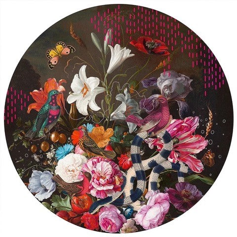 Alexandra Gallagher, Artist, Serendipitys Rainbow, Flowers, Snakes, Birds, TAP Galleries, Essex Chelmsford Gallery