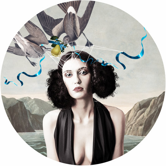 Alexandra Gallagher, Artist, Daughters Salvation, Women, Bluem Pear, Birds, TAP Galleries, Essex Chelmsford Art Gallery