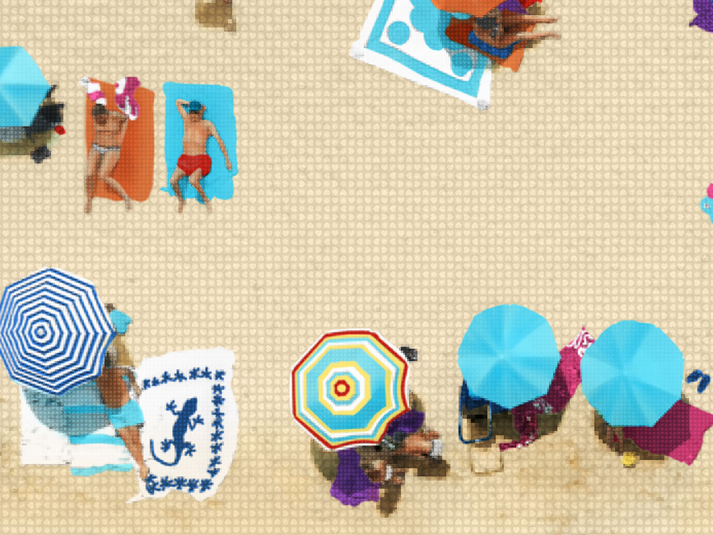 The Beach Drone Mosaic