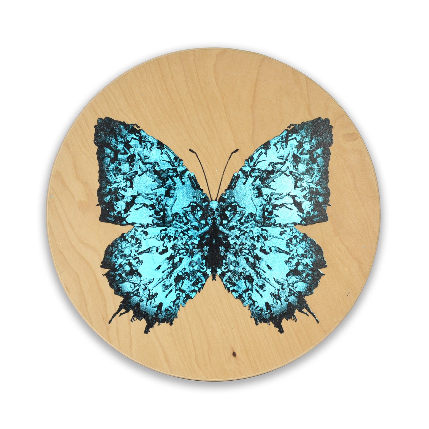 Cassandra Yap, Birch Deliverance Turquoise, Butterfly, TAP Galleries, Essex Chelmsford Art Gallery