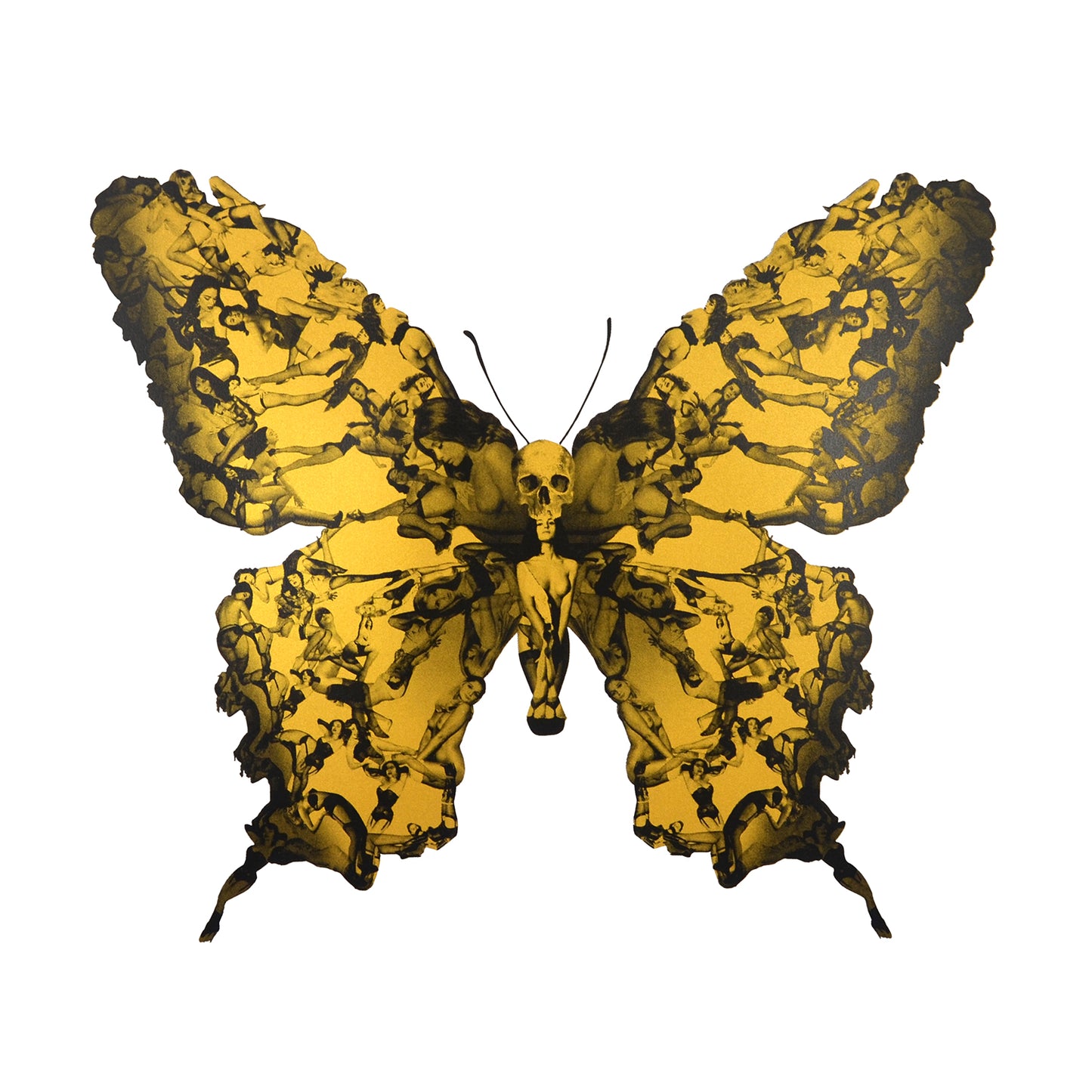 Cassandra Yap, Liberty, Gold, Butterfly, Pin-Up- Girls, TAP Galleries, Essex Chelmsford Art Gallery