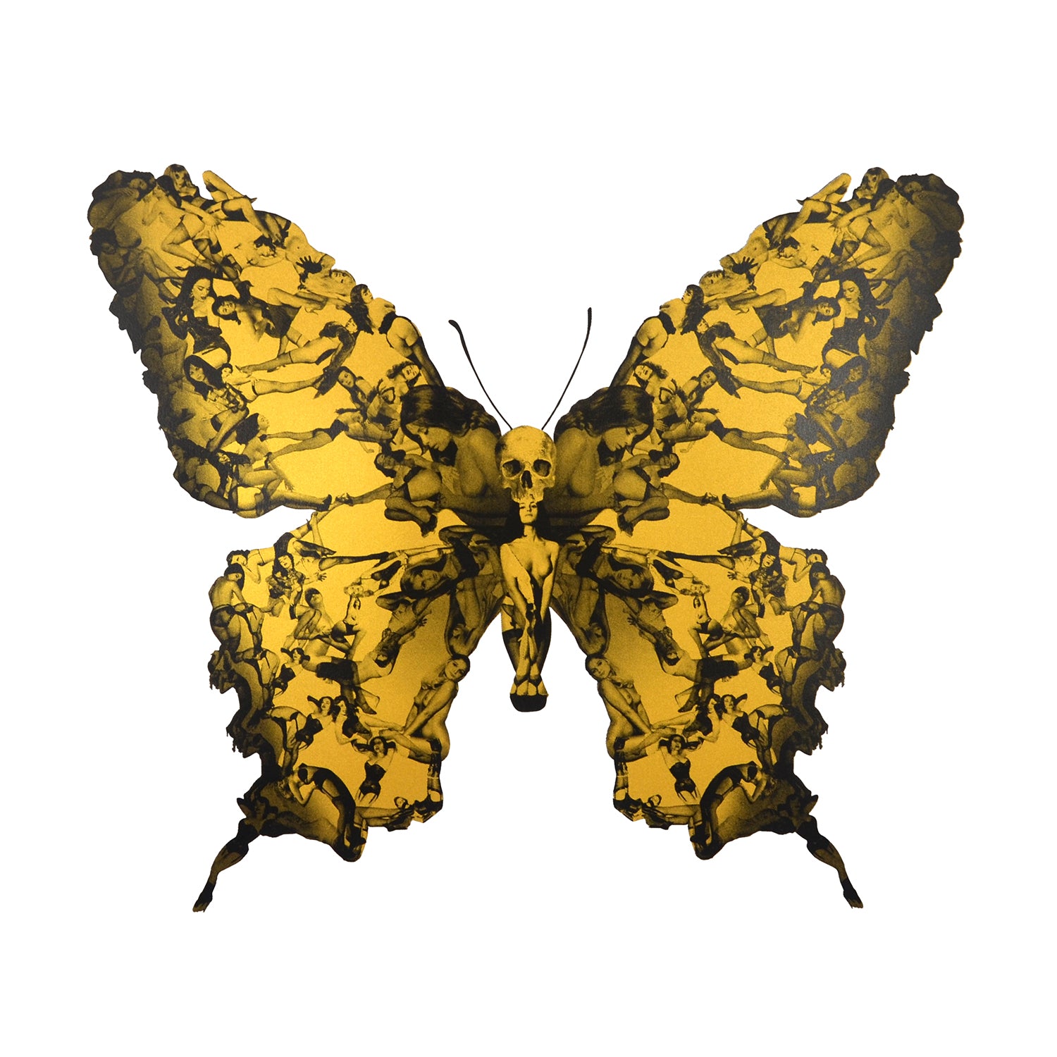 Cassandra Yap, Liberty, Gold, Butterfly, Pin-Up- Girls, TAP Galleries, Essex Chelmsford Art Gallery