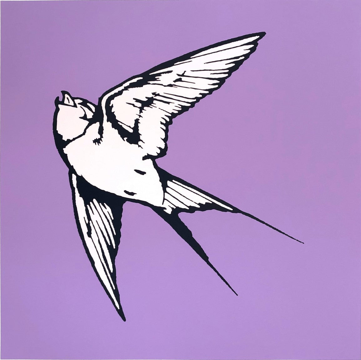 Dan Baldwin | Love and Light - Lilac and Blush Pink