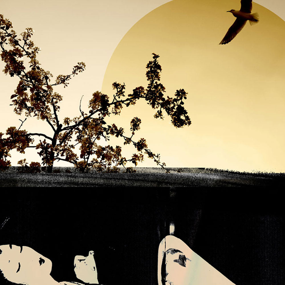 Jonathan Armstrong | Rising Sun