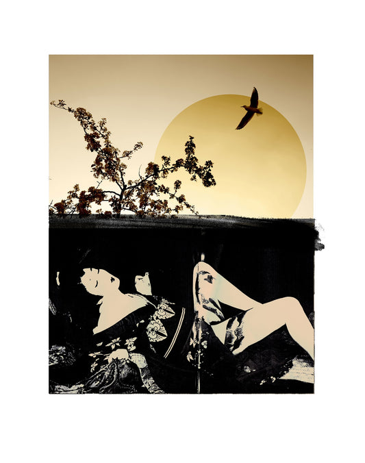 Jonathan Armstrong | Rising Sun