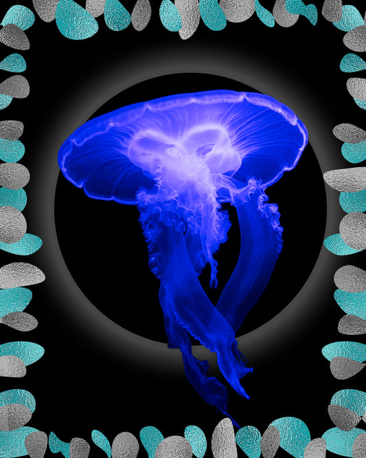 Sorcha Bridge, Jelly Fish, Blue, Silver, Animal, Black, TAP Galleries, Essex Chelmsford Art Gallery