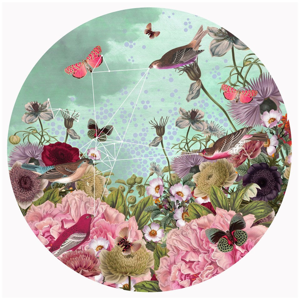 Alexandra Gallagher- Artist, Bird Song, Limited edition, Print, -TAP Galleries, Essex Art Gallery
