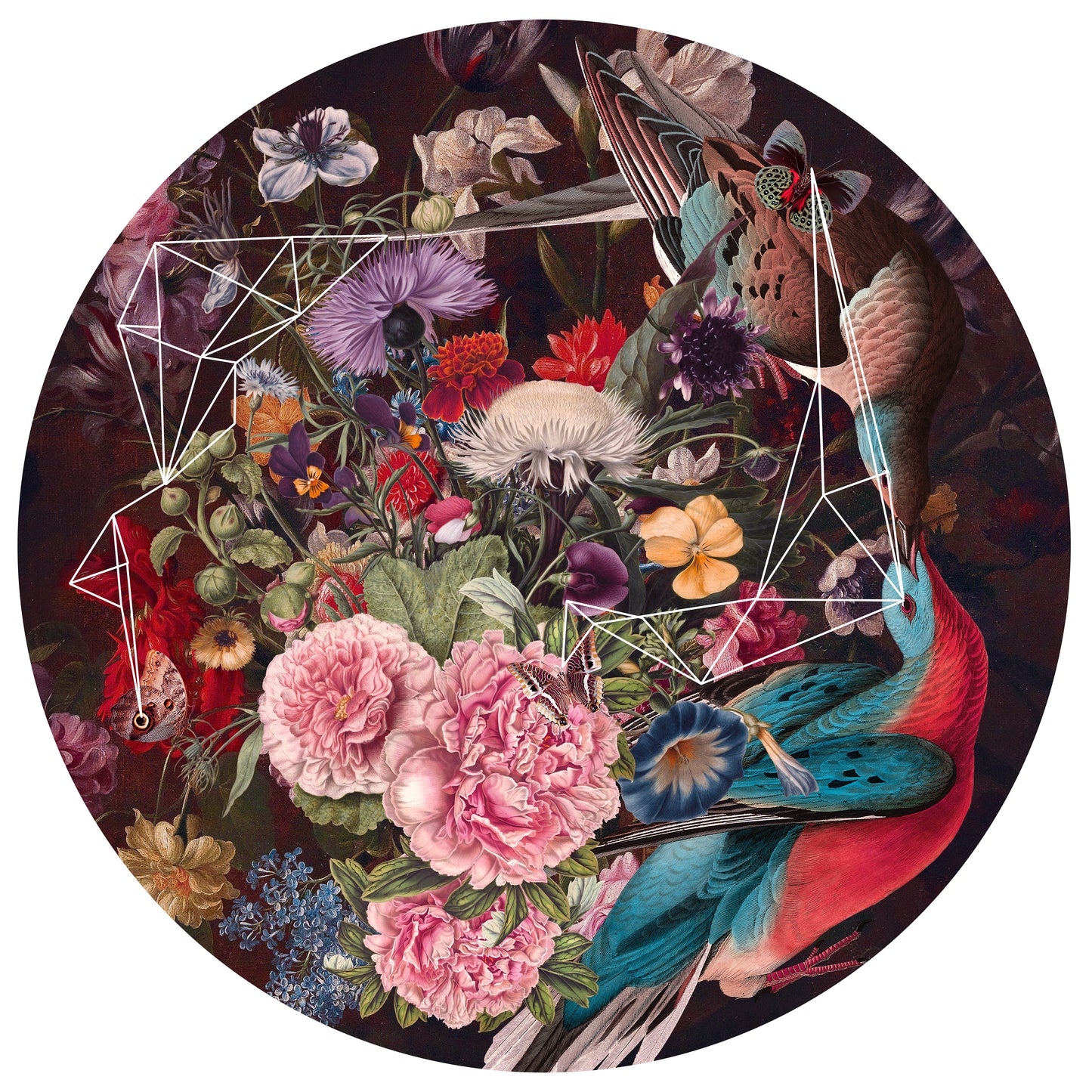 Alexandra Gallagher | Rhythmic Order In Chromatic Disorder