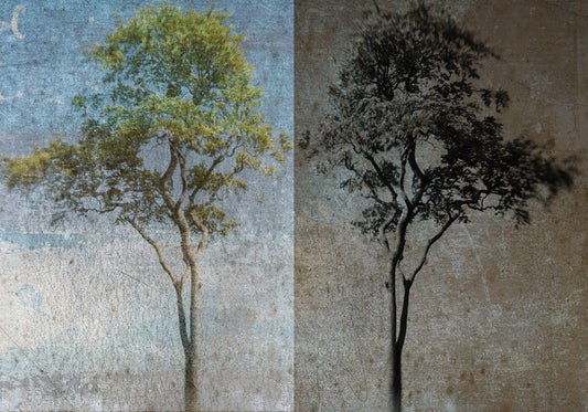 Reflection | Claire Newman-Williams | Limited Edition Photographic Print
