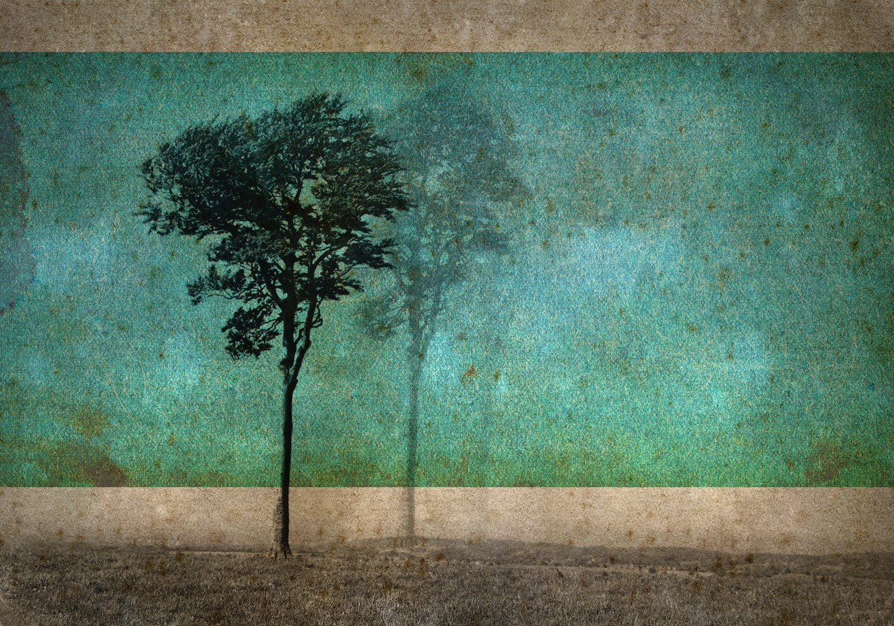 Sentinel | Claire Newman-Williams | Limited Edition Photographic Print