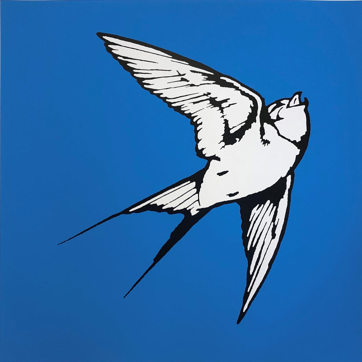 Dan Baldwin limited edition print of Pale Grey Hummingbird on a Light Blue background