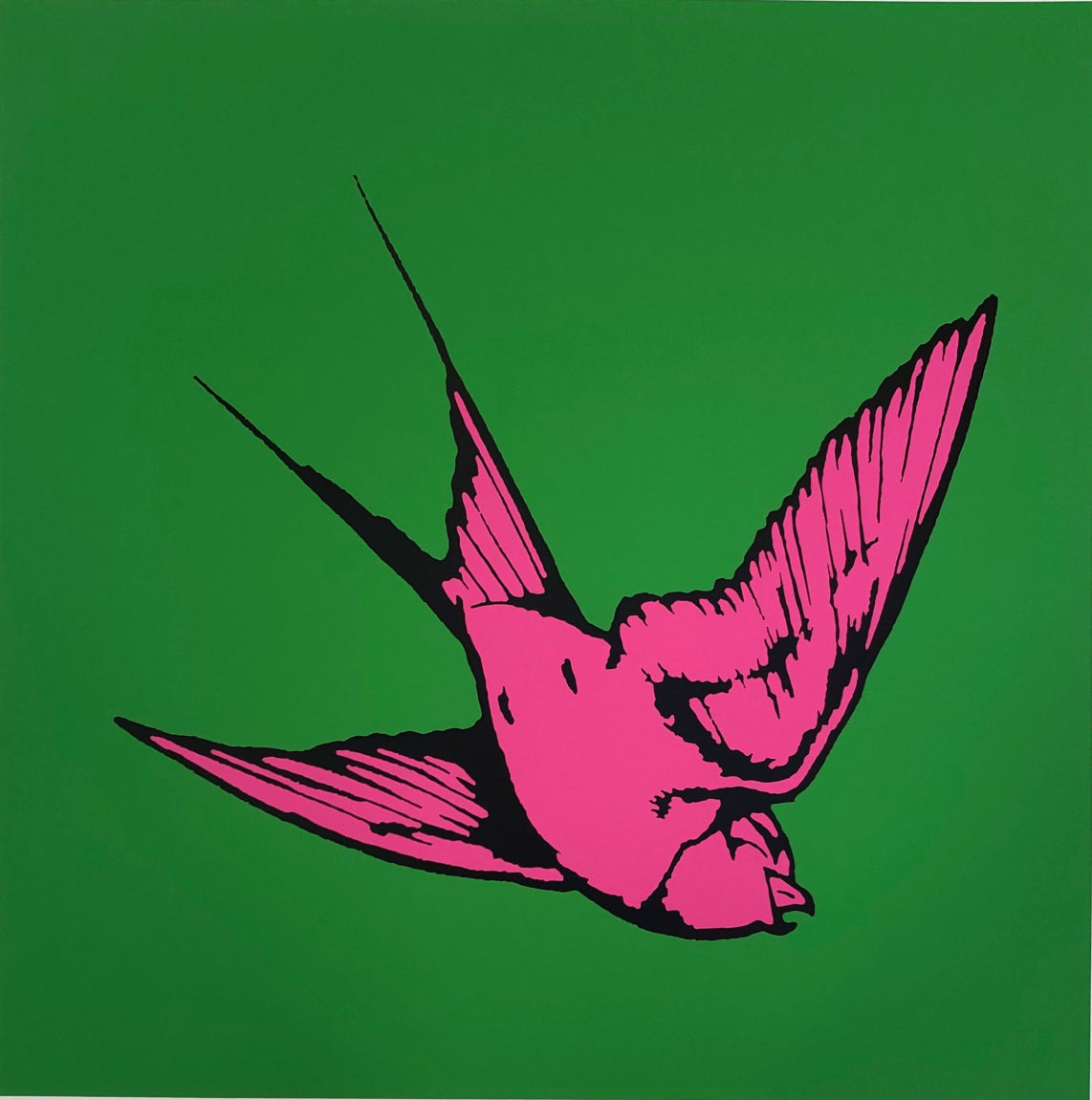 Dan Baldwin limited edition print of Pink Hummingbird on a green background