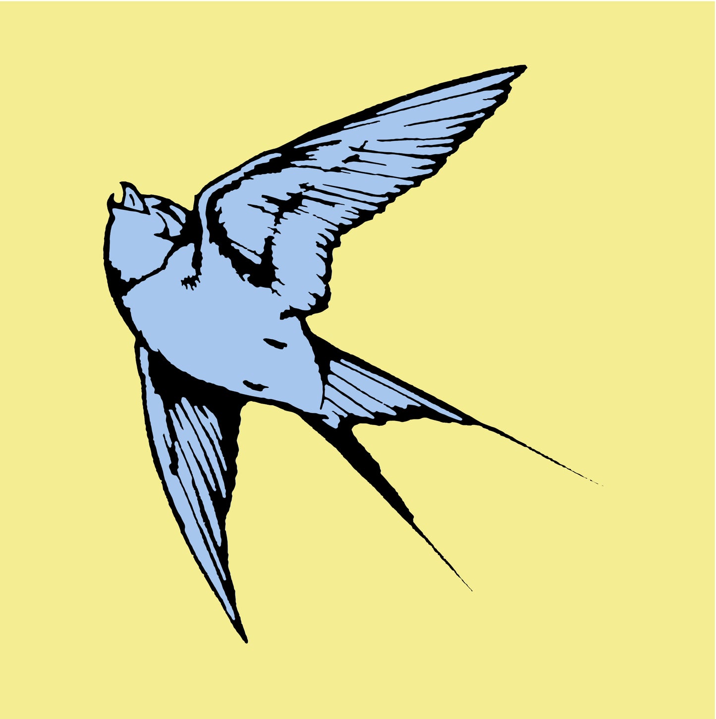 Dan Baldwin limited edition print of Blue Hummingbird and yellow background