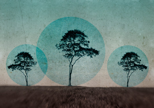 Claire Newman-Williams | Eulerian Circles