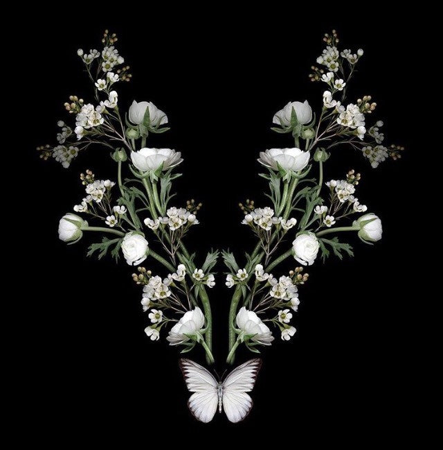 Gareth Hayward-Element 1, Limited edition, C Type, photographic print-TAP Galleries
