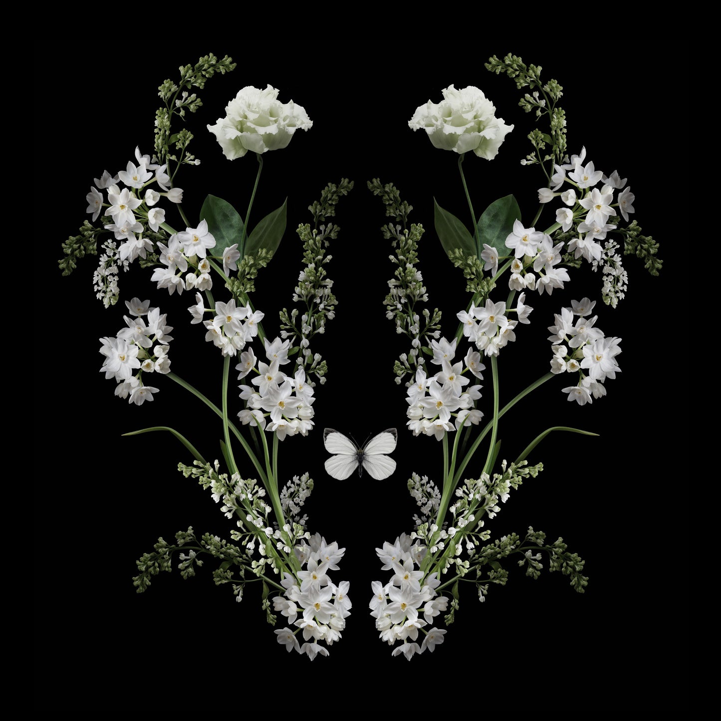Gareth Hayward-Element 3, Limited edition, C Type photographic print-TAP Galleries
