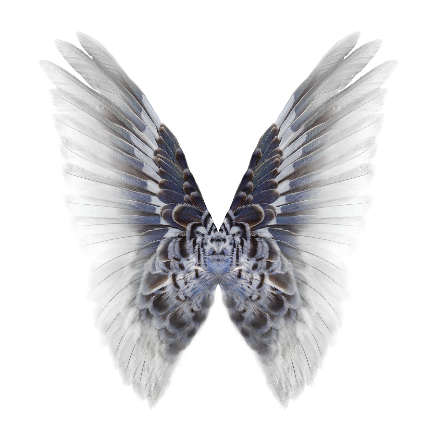 Gareth Hayward- Hybrid 4, Limited edition- TAP Galleries