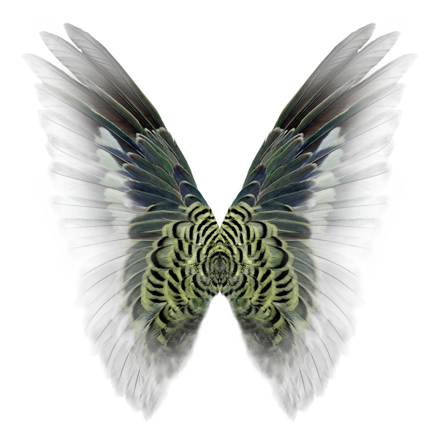Gareth Hayward- Hybrid 5, Limited edition- TAP Galleries