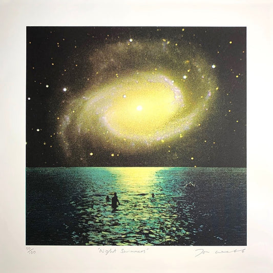 Joe Webb | Night Swimmers