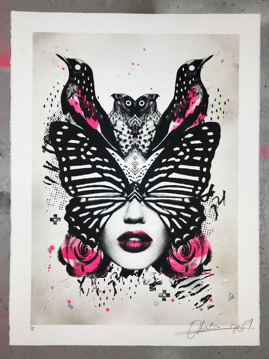 Olly Howe- Papillio Limited edition, Print, Acrylic, -TAP Galleries, Essex gallery