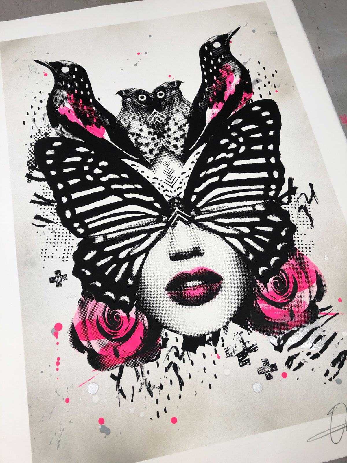 Olly Howe- Papillio Limited edition, Print, Acrylic, -TAP Galleries, Essex gallery