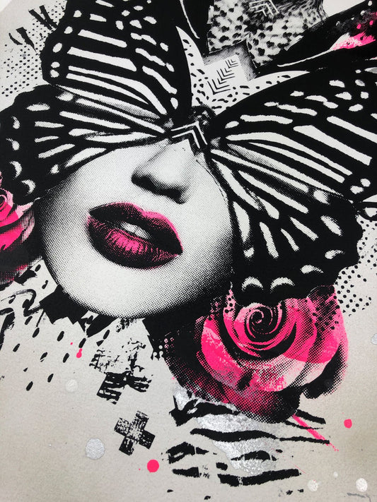 Olly Howe- Papillio Limited edition, Print, Acrylic, -TAP Galleries, Essex gallery