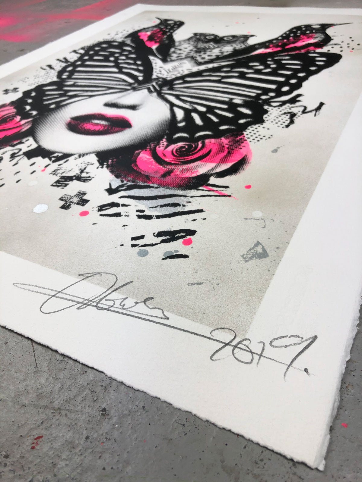 Olly Howe- Papillio Limited edition, Print, Acrylic, -TAP Galleries, Essex gallery