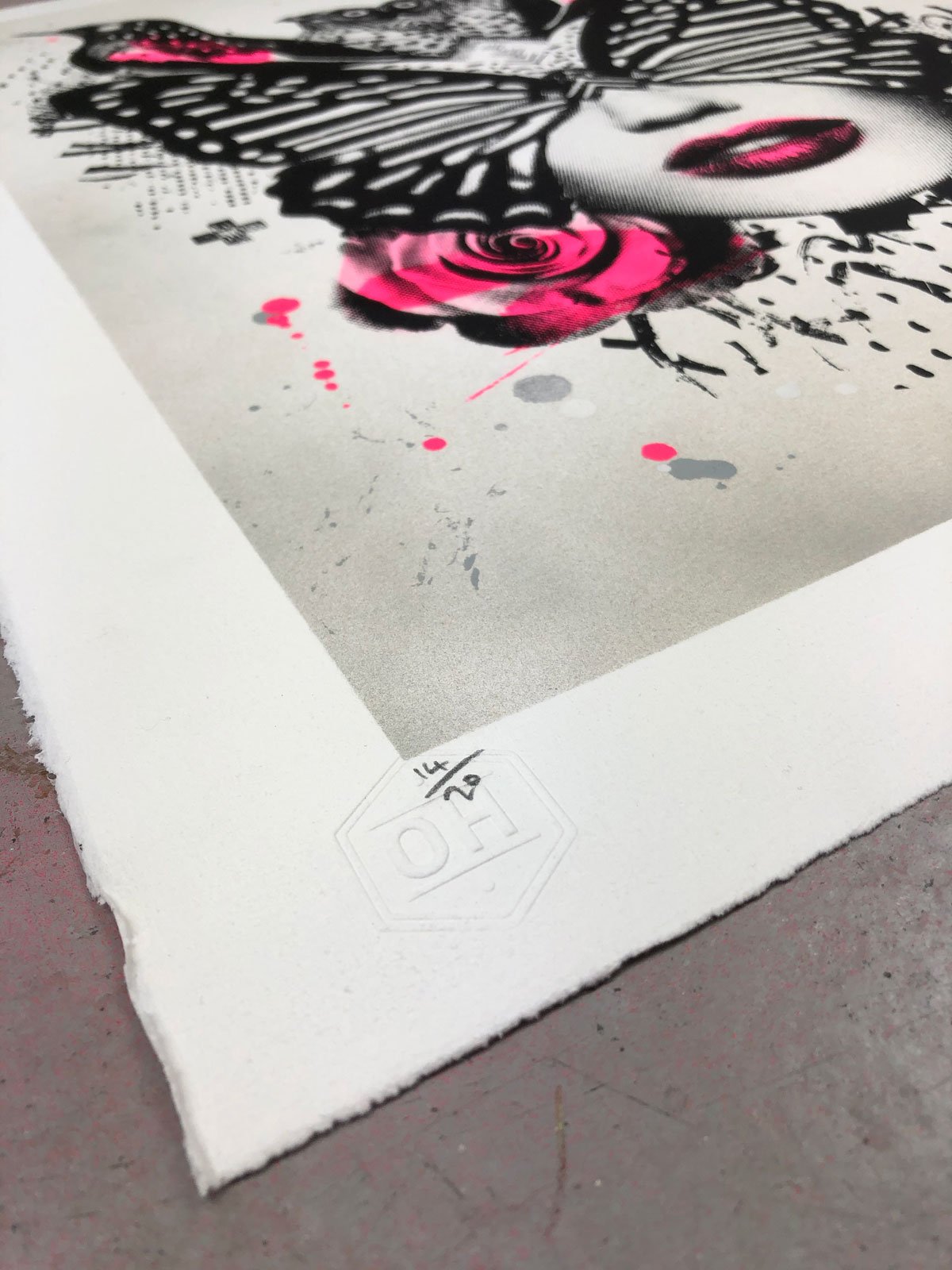 Olly Howe- Papillio Limited edition, Print, Acrylic, -TAP Galleries, Essex gallery