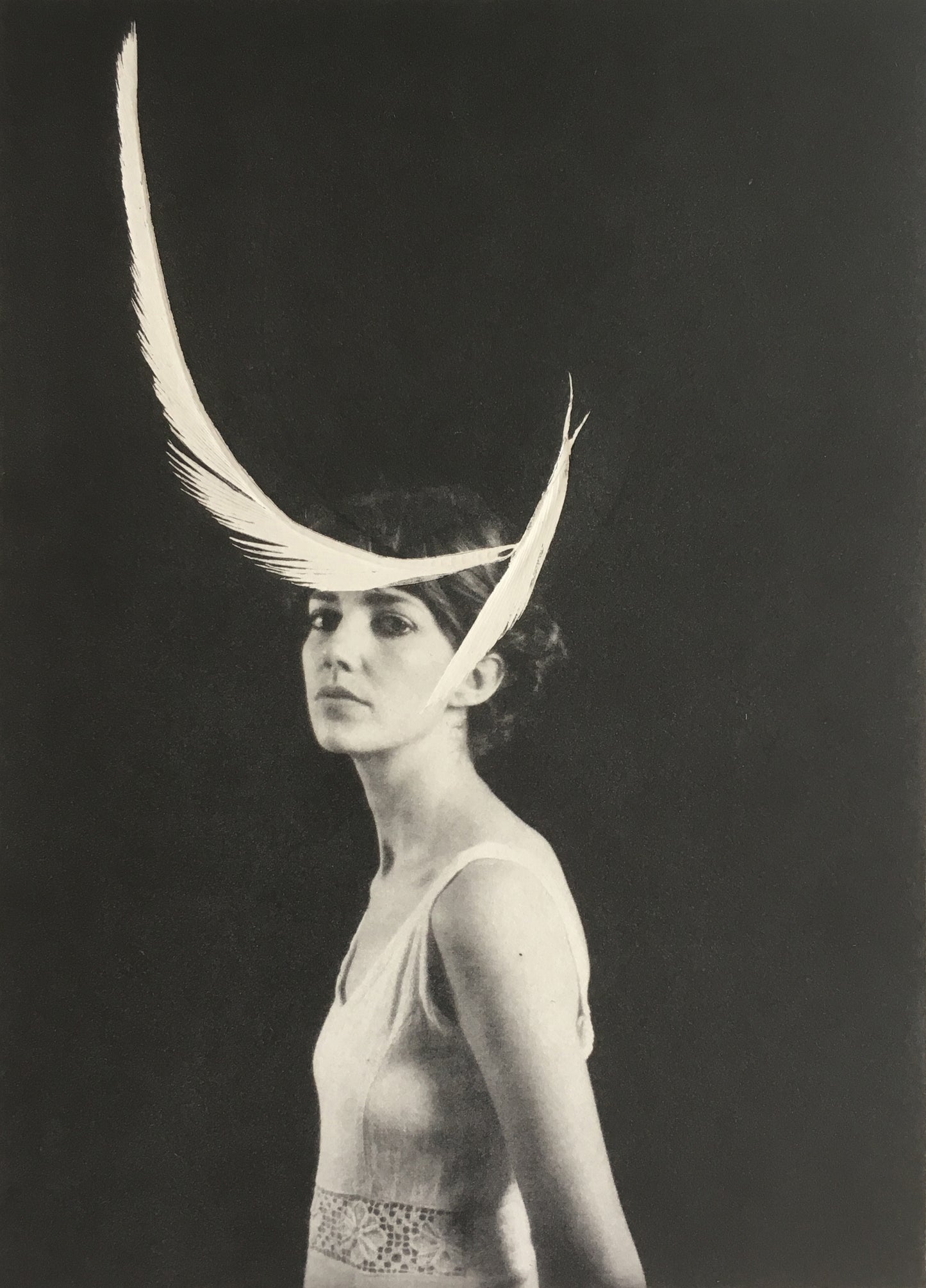 Rosie Emerson- Artist, Art, Astrapie, Limited edition, TAP Galleries, Essex Gallery