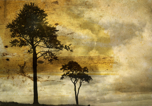 Claire Newman-Williams | The Gloaming