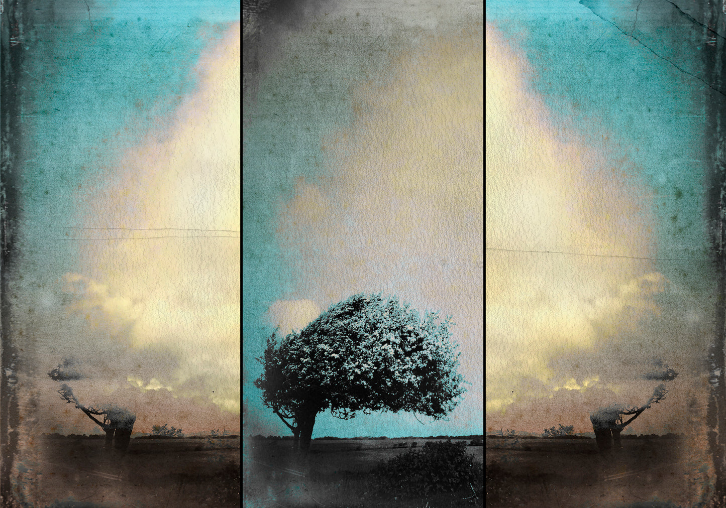 Claire Newman-Williams | Thunder Head