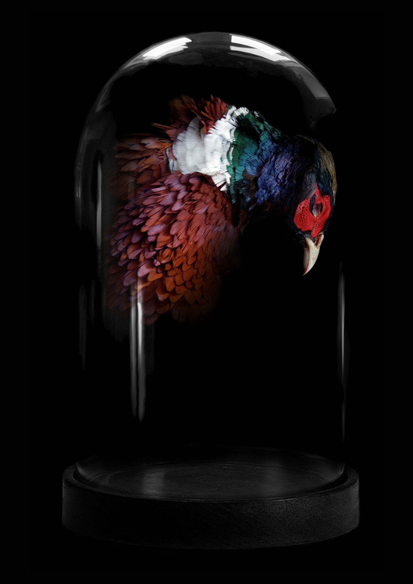 Gareth Hayward- Dome 1,-TAP Galleries