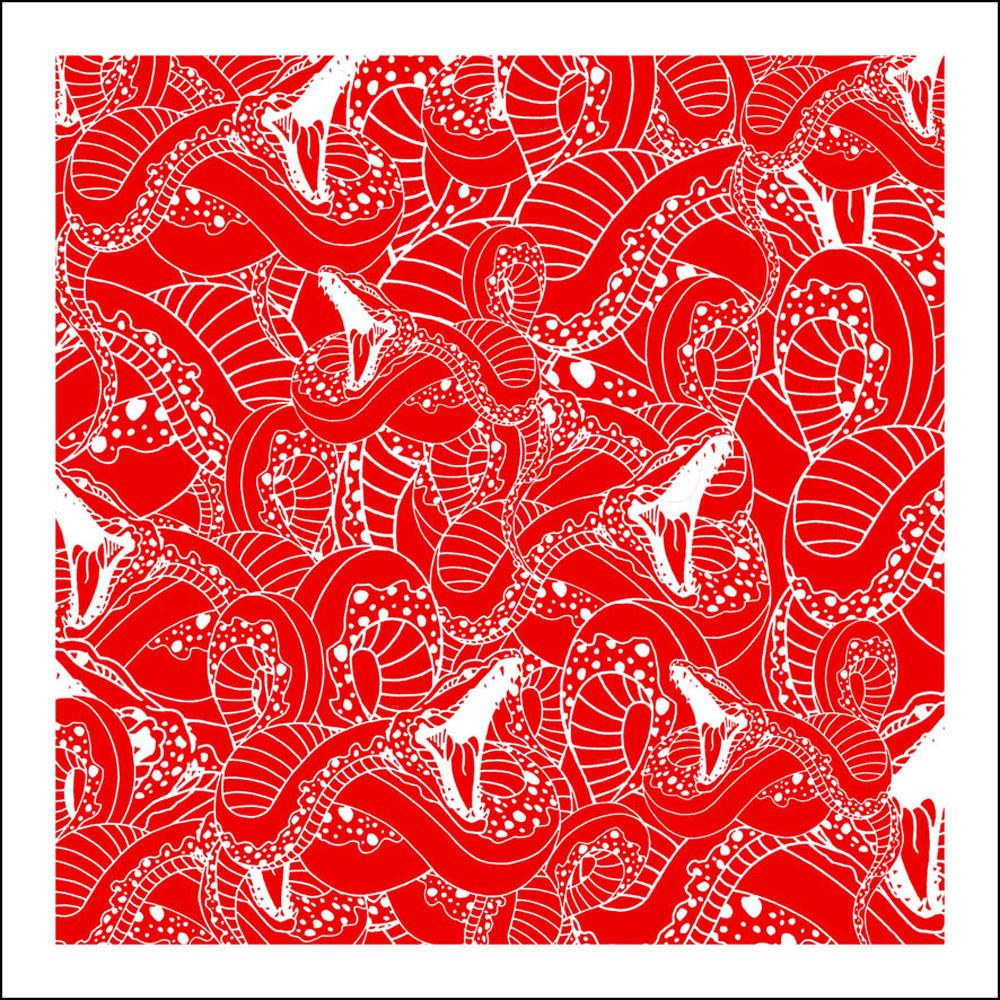 Ben-Allen-Snake-Snakes-Red-TAP-Galleries