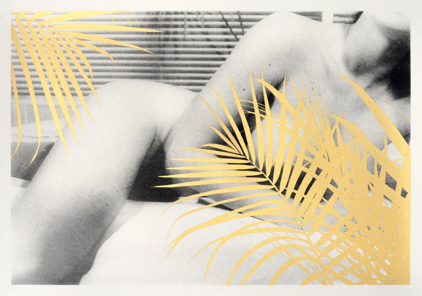 Cassandra-Yap-TAP-Galleries-Gold-Ink-Balmy-Nights-Black-White