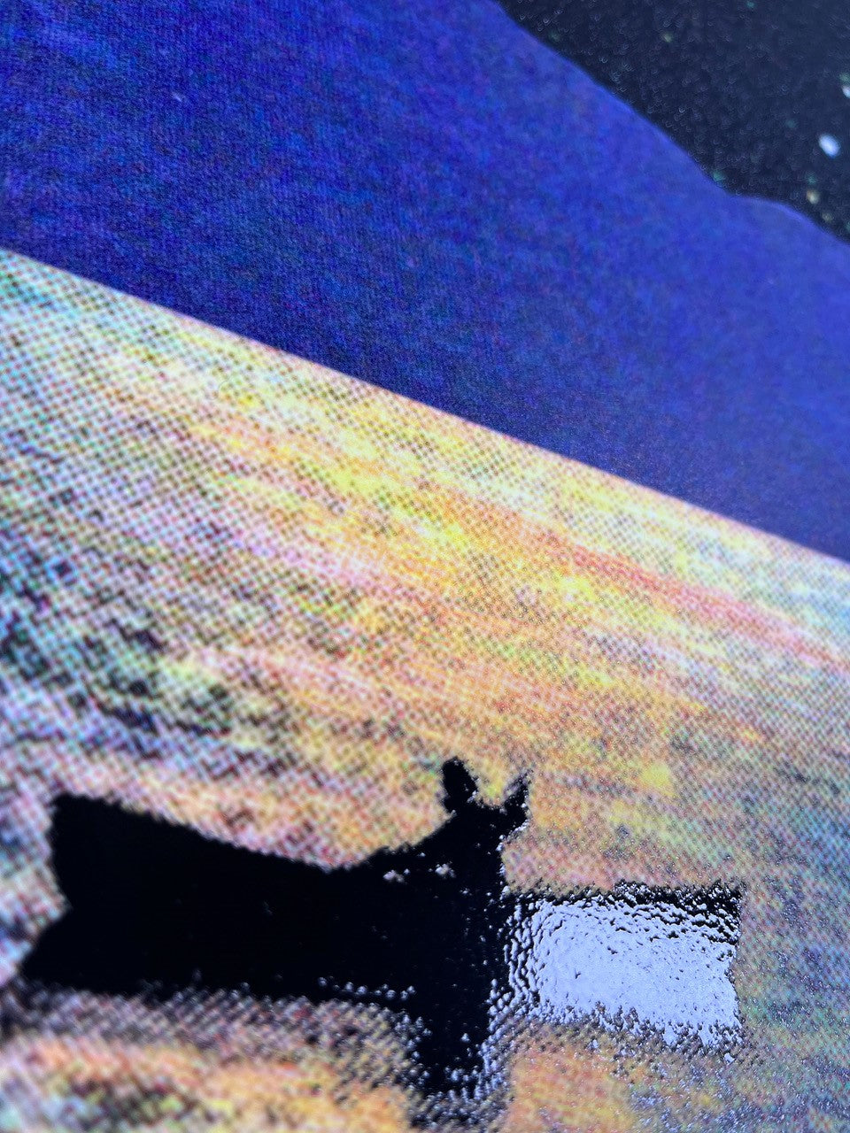 Joe Webb- Shine on, Silkscreen, print, Limited edition -TAP Galleries