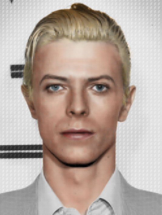 Icon Collection - David Bowie
