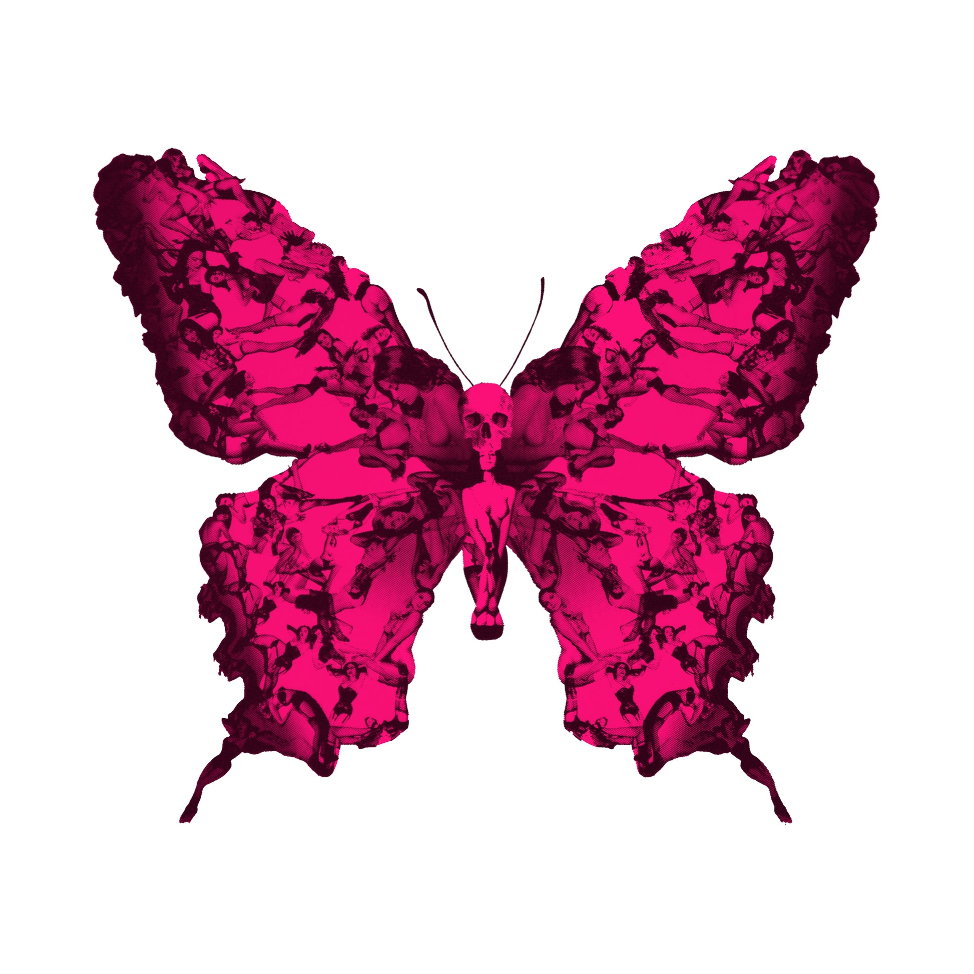 Cassandra Yap, Liberty, Fluorescent Pink, Butterfly, Pin-Up- Girls, TAP Galleries, Essex Chelmsford Art Gallery