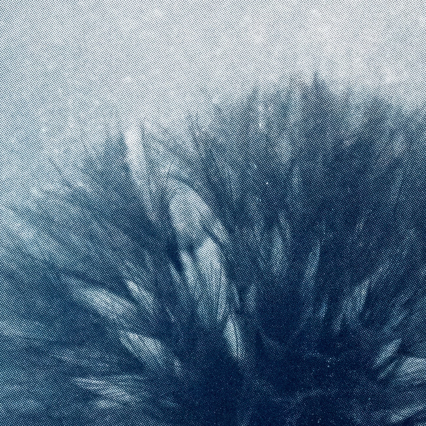 Jonathan Armstrong | Dandelion - Blue