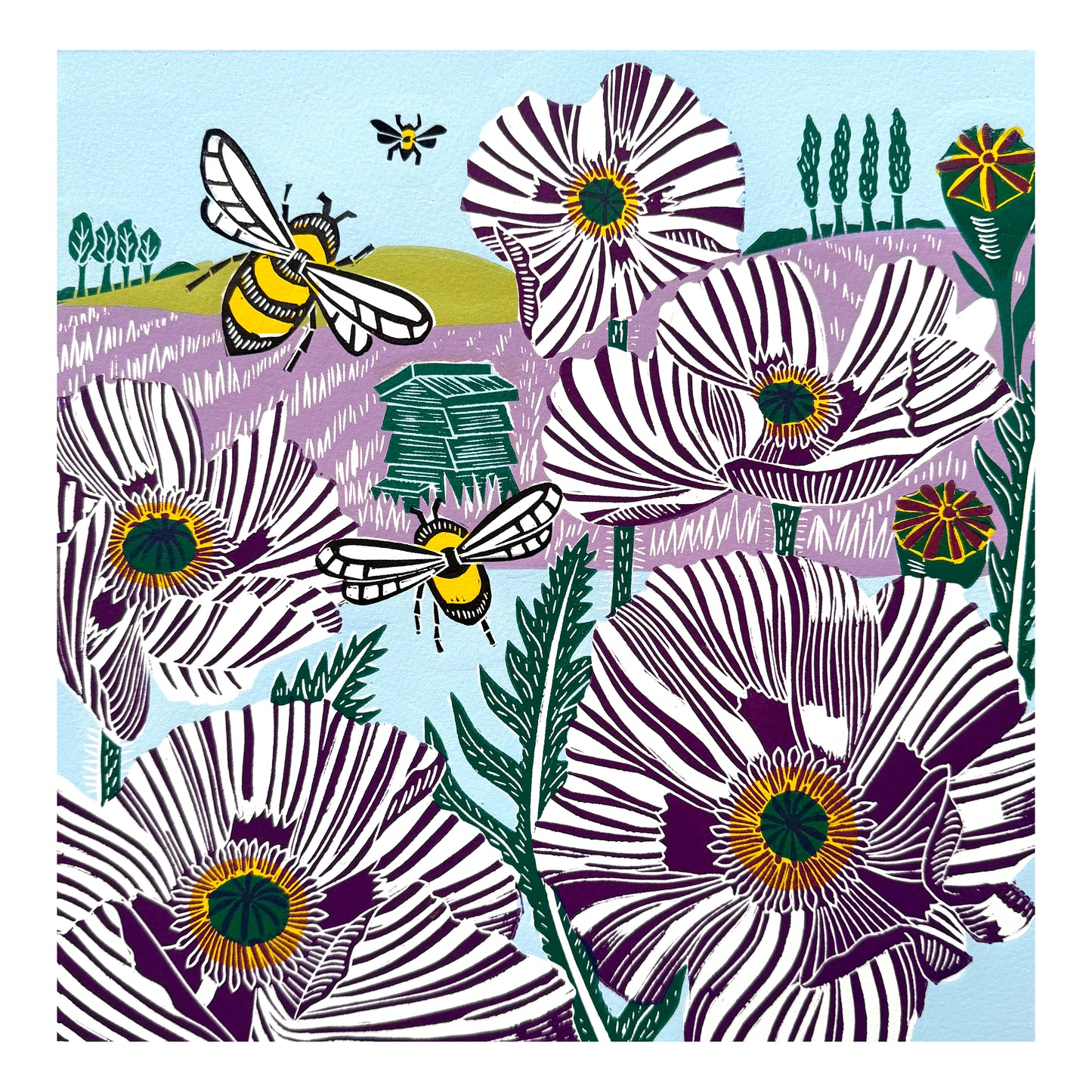 Kate Heiss | Purple Poppies