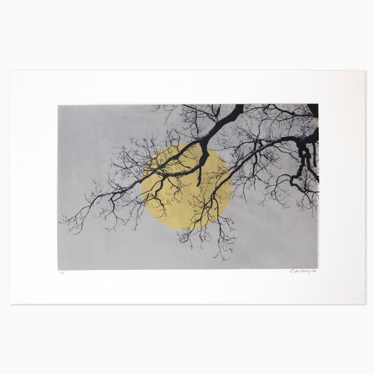 Jonathan Armstrong | Moon & Branches II