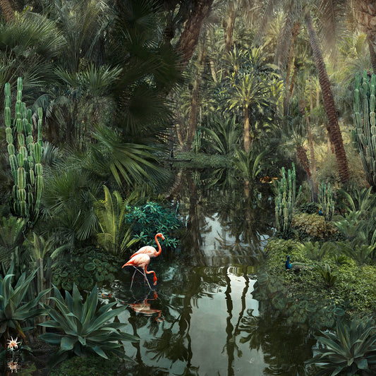 Nadia Attura | Backwater Oasis