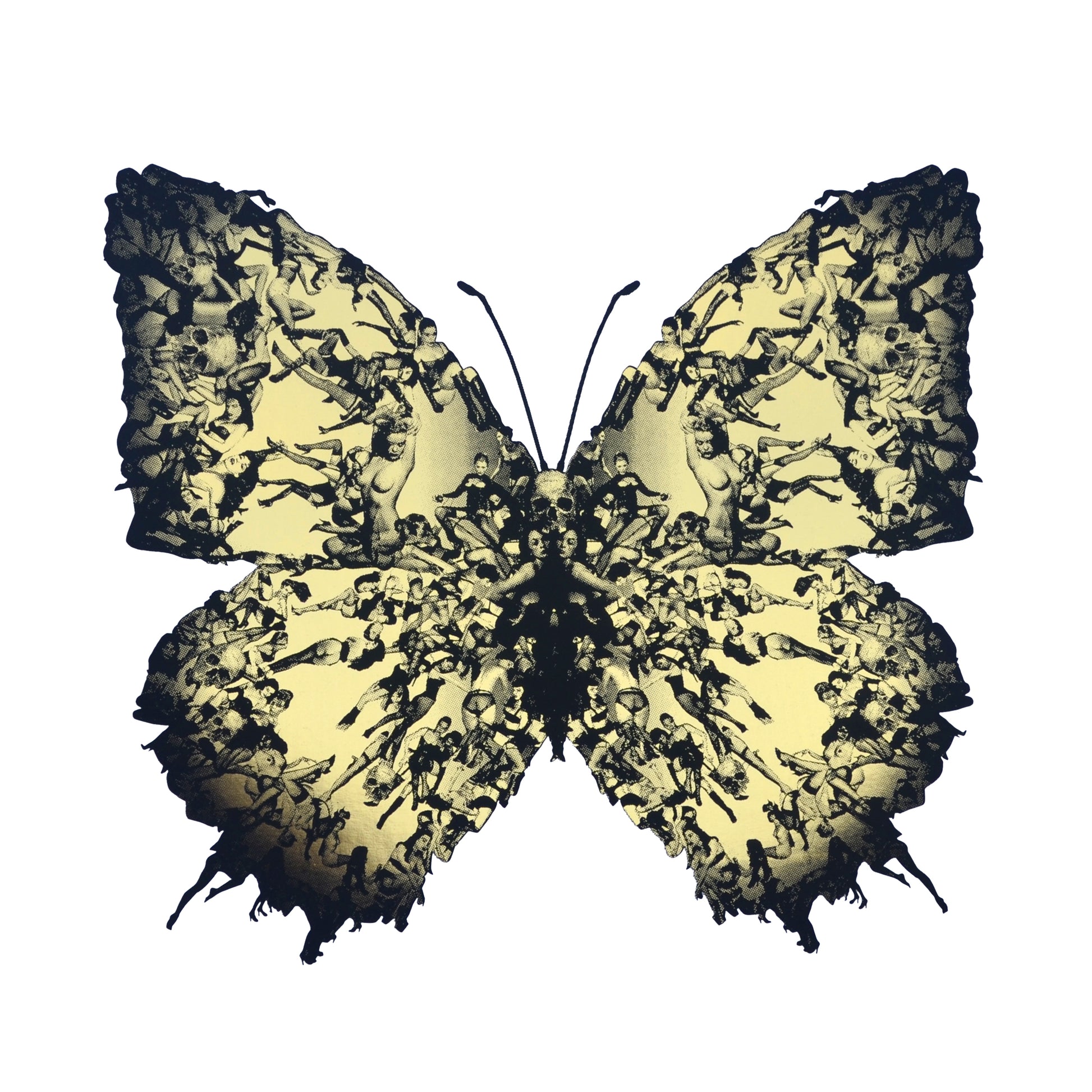 Cassandra-Yap-TAP-Galleries-Mini-Gold-Foil-Limited-Edition-Butterfly-Black