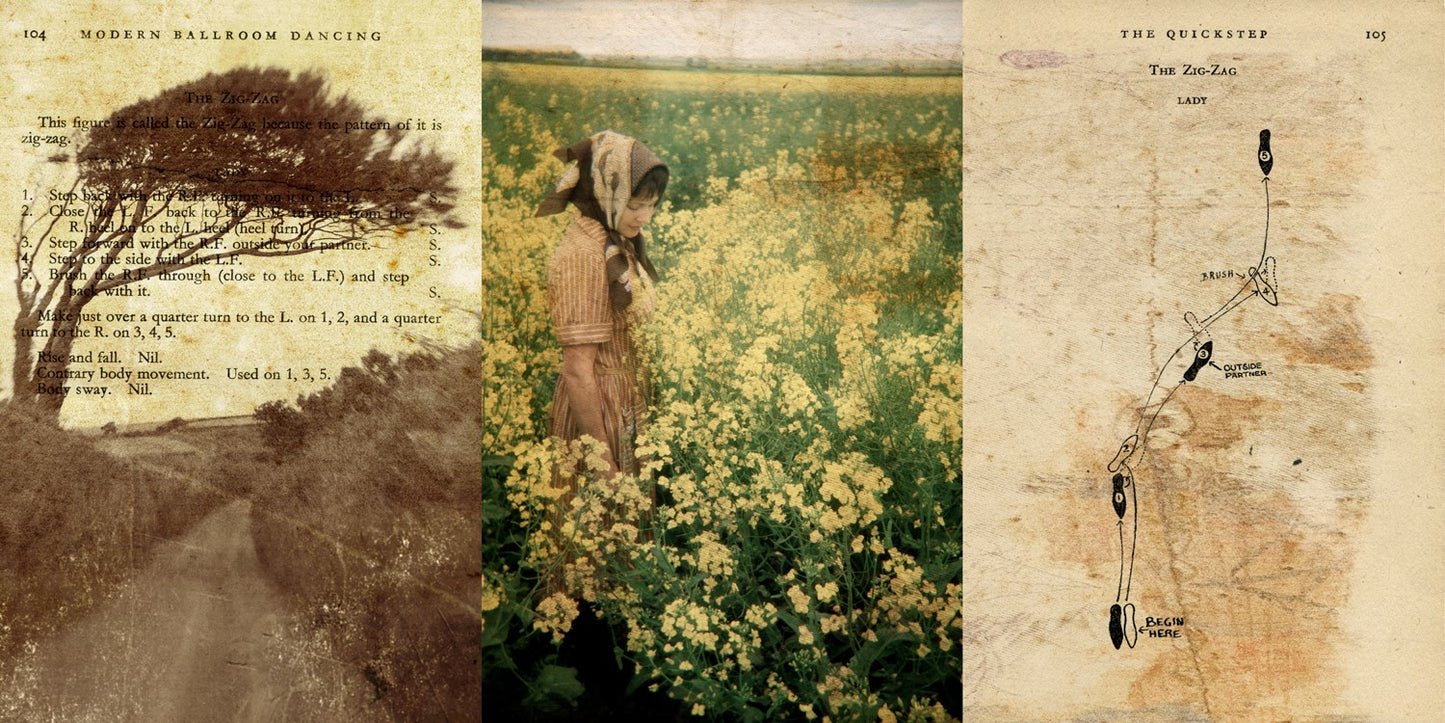 Vintage Photography & collage work 