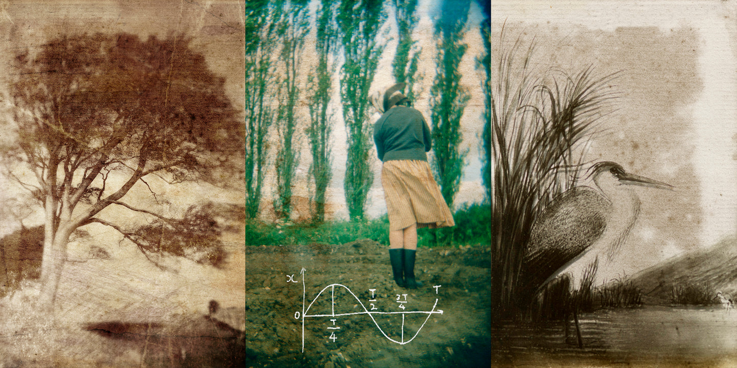 Vintage Photography & collage work by Claire Newman-Williams