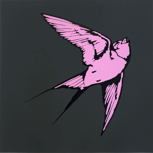 Dan Baldwin limited edition print of Pink Hummingbird on a dark grey background