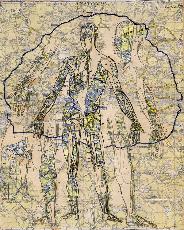 Gavin Mitchell | Body Map II