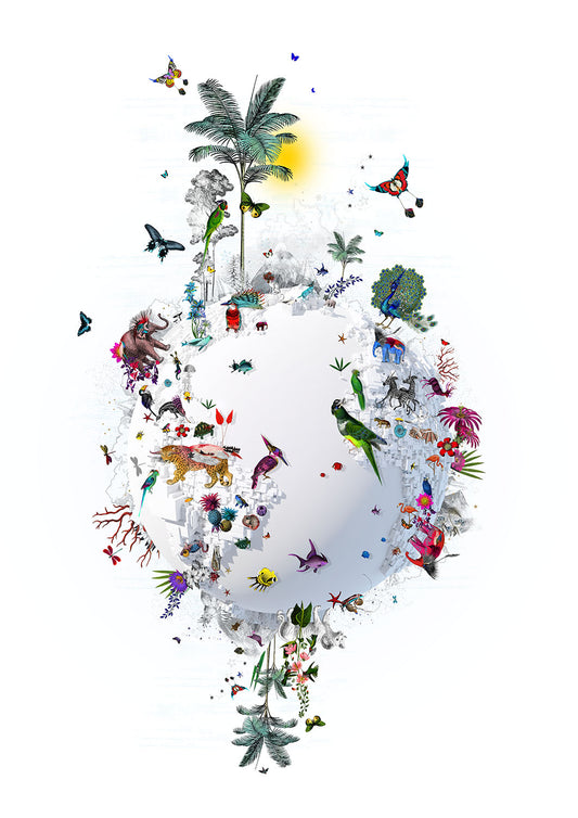 Kristjana Williams- Isol Hnottur, Limited edition, TAP Galleries, Essex Gallery