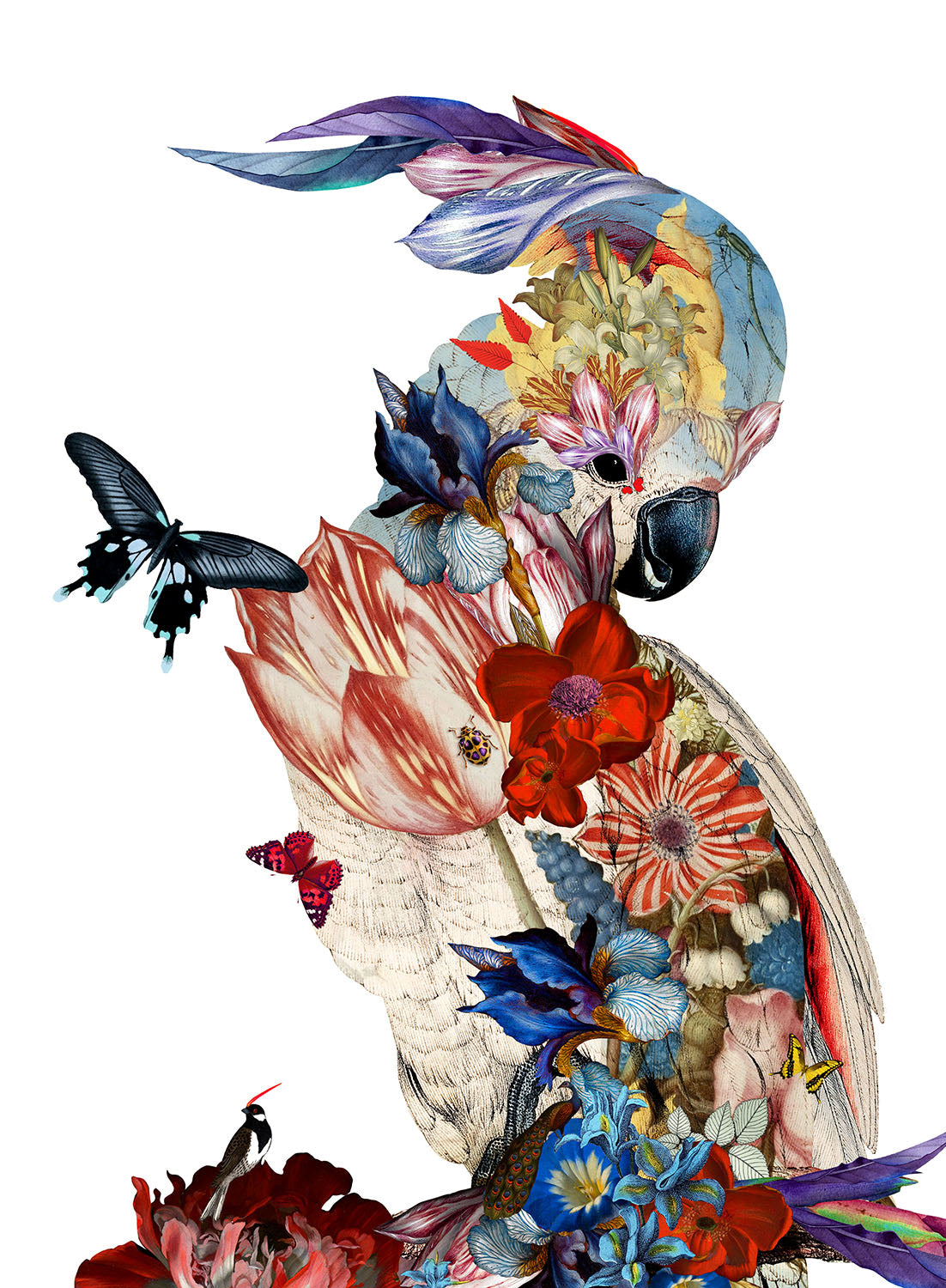Kristjana Williams - The flowerhouse Lear, ;Limited, Edition, Print, Parrot, Flowers, Nature, Fantasy -TAP Galleries, Essex art gallery