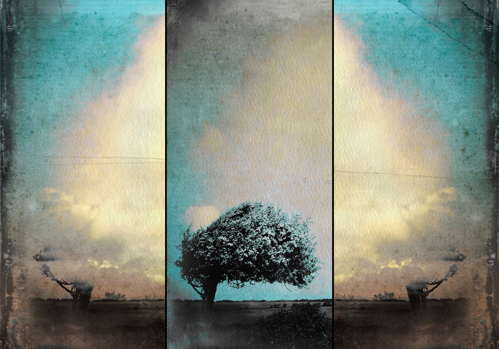 Claire Newman Williams Artist TAP Galleries claire-newman-williams-artist-tap-galleries